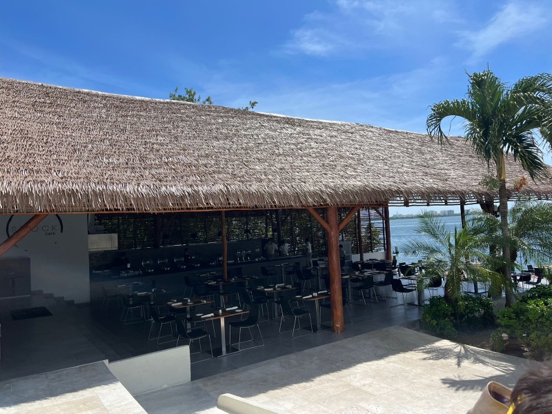 restaurante palma sintetica