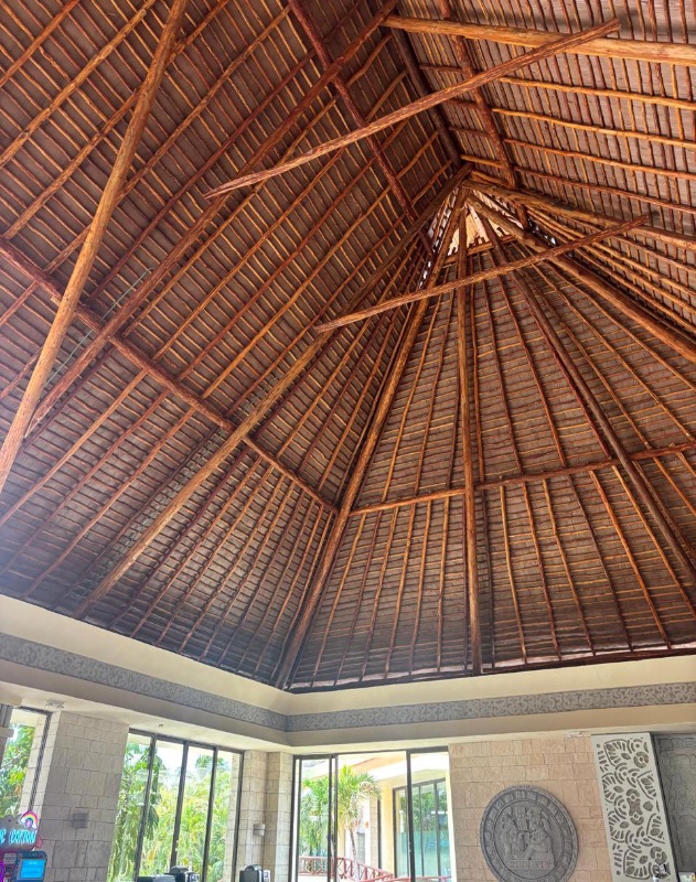 palapa bahía principe
