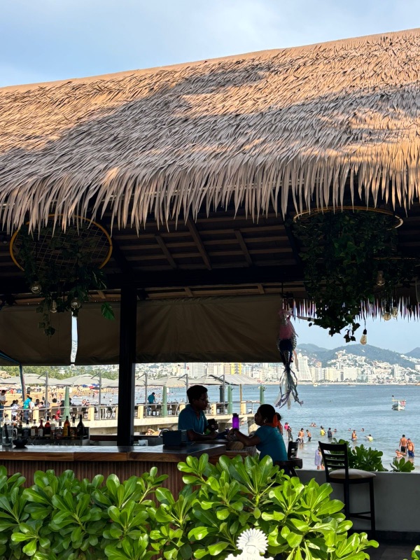 puerto Acapulco Palapa sintetica