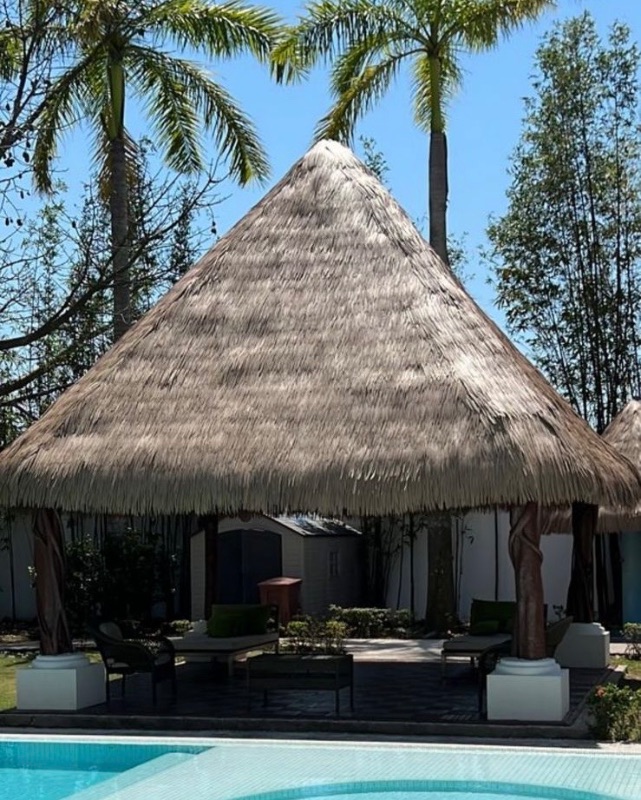 palapa sintetica