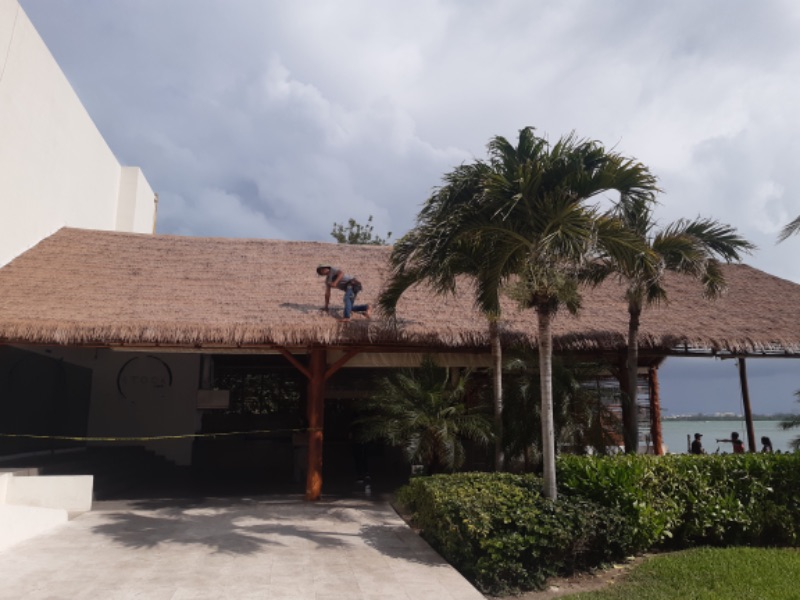 sombrilla hotel palma sintetica
