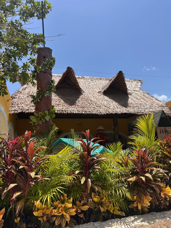 izamal palapa sintetica