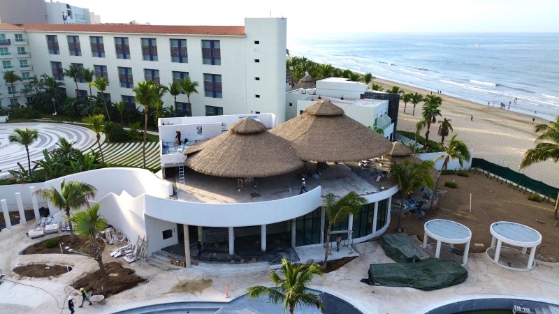 Nuevo Vallarta Palma sintetica