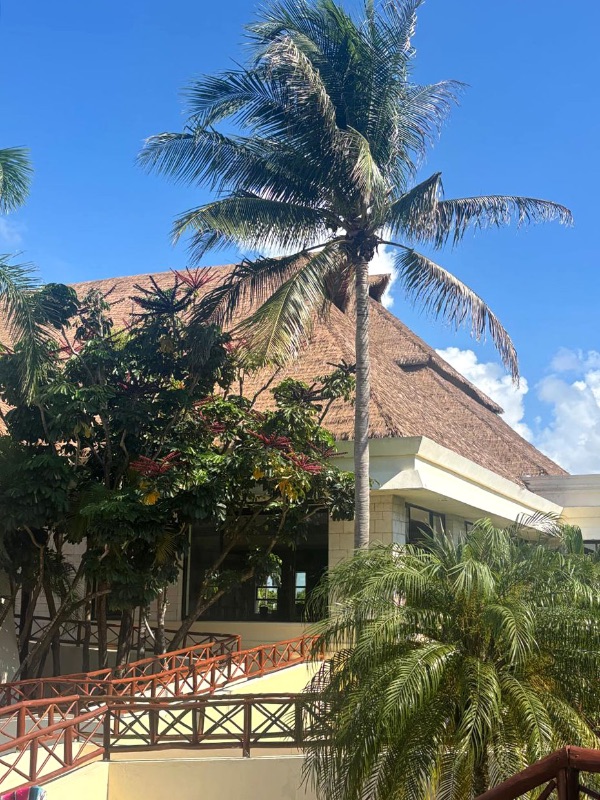 palapa bahía principe