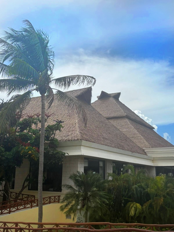 palapa bahía principe