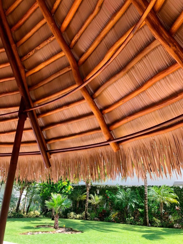 palapa