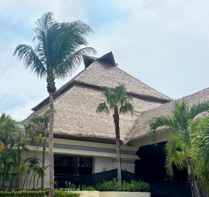 palapa bahía principe