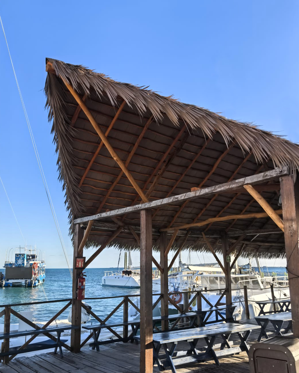 Palapa sintética residencial