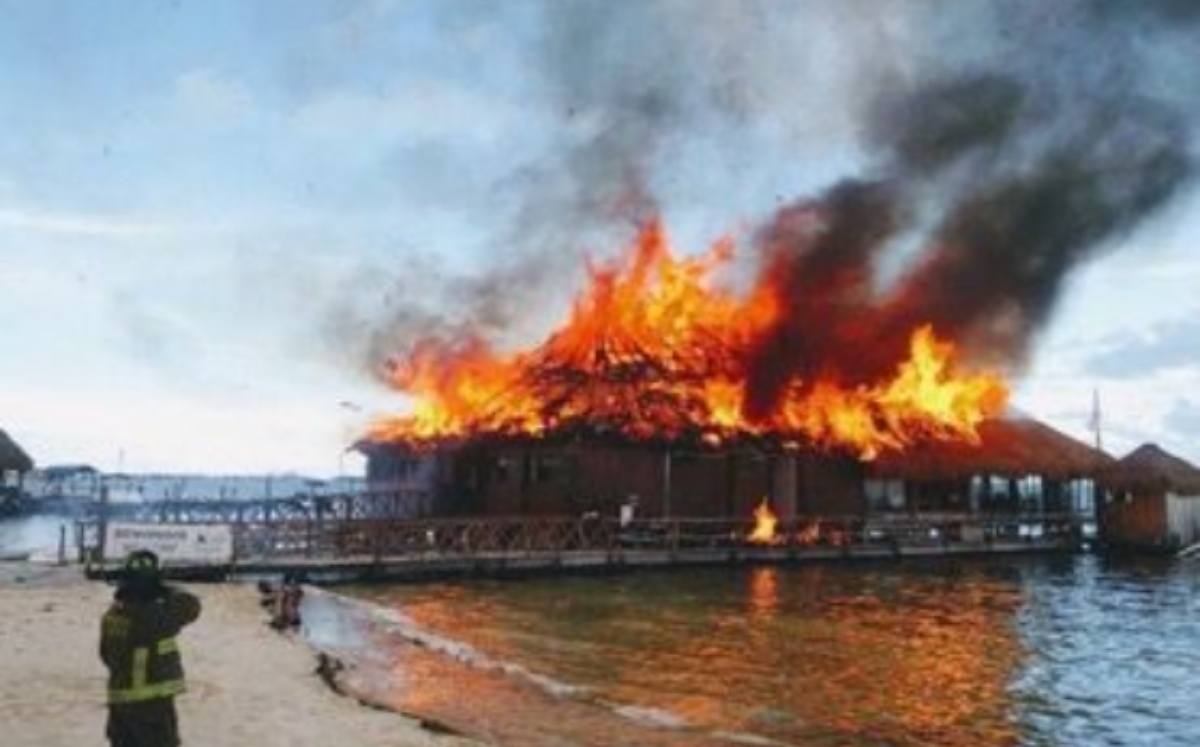 EFECTOS DEL FUEGO EN LA PALMA SINTÉTICA